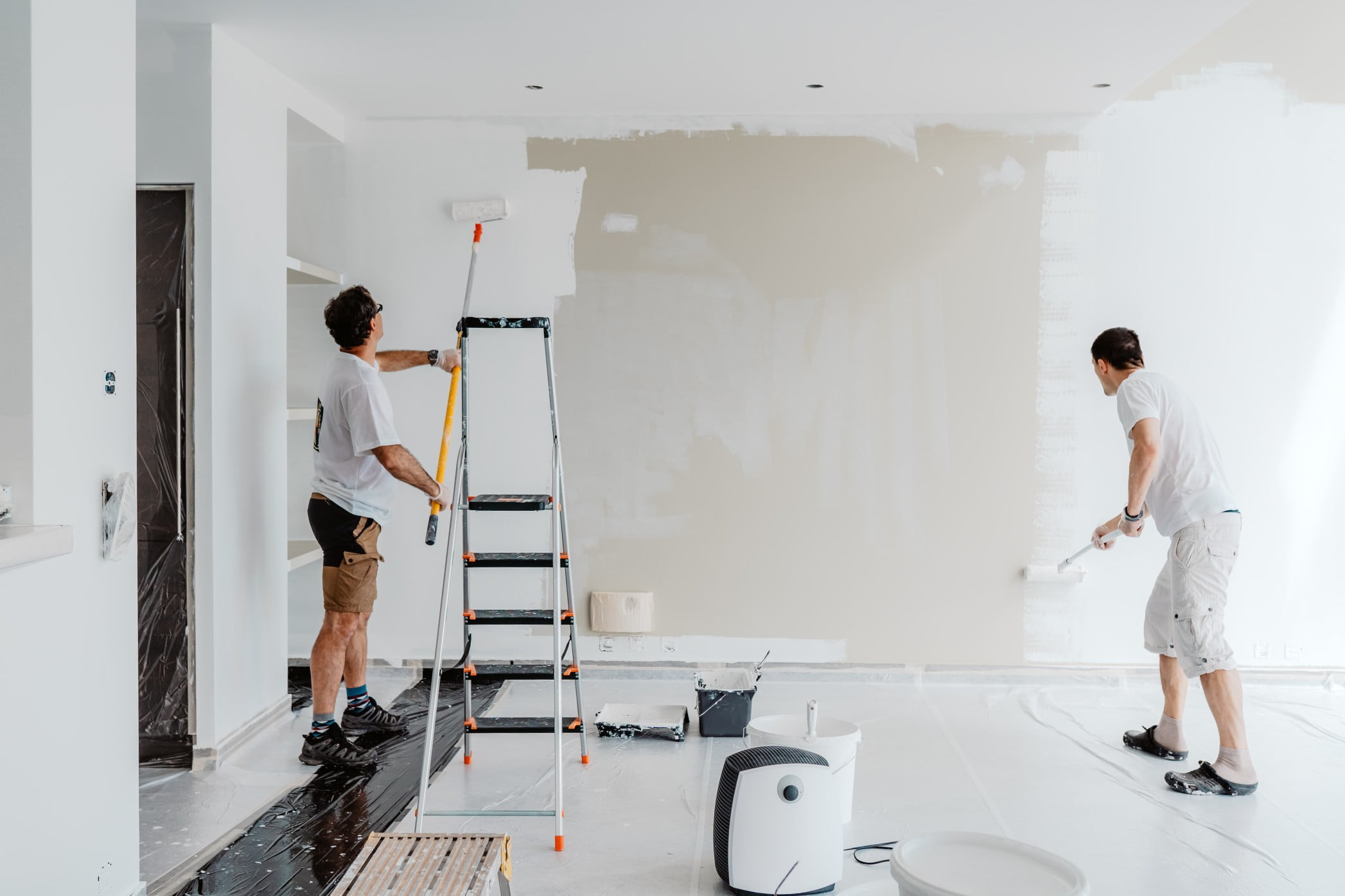 professional living room painter